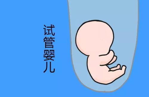 生殖科主任